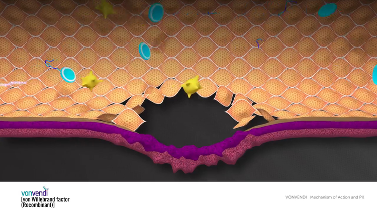 Watch VONVENDI® mechanism of action and pharmacokinetics video.