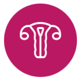 Uterus icon.