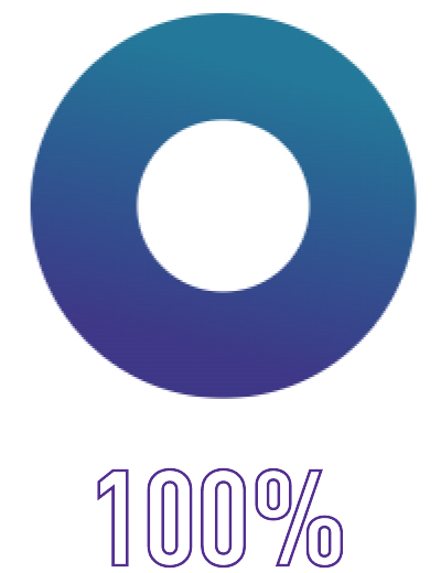 100% icon.