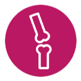 Bones and joint icon.